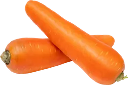 גזר
