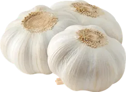 שום